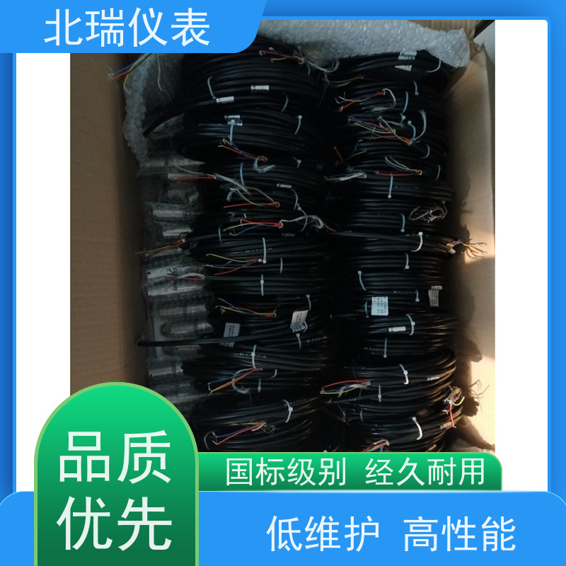 北瑞仪表 投入式水温计 厂家供应 售后无忧 多领域可用 精度高