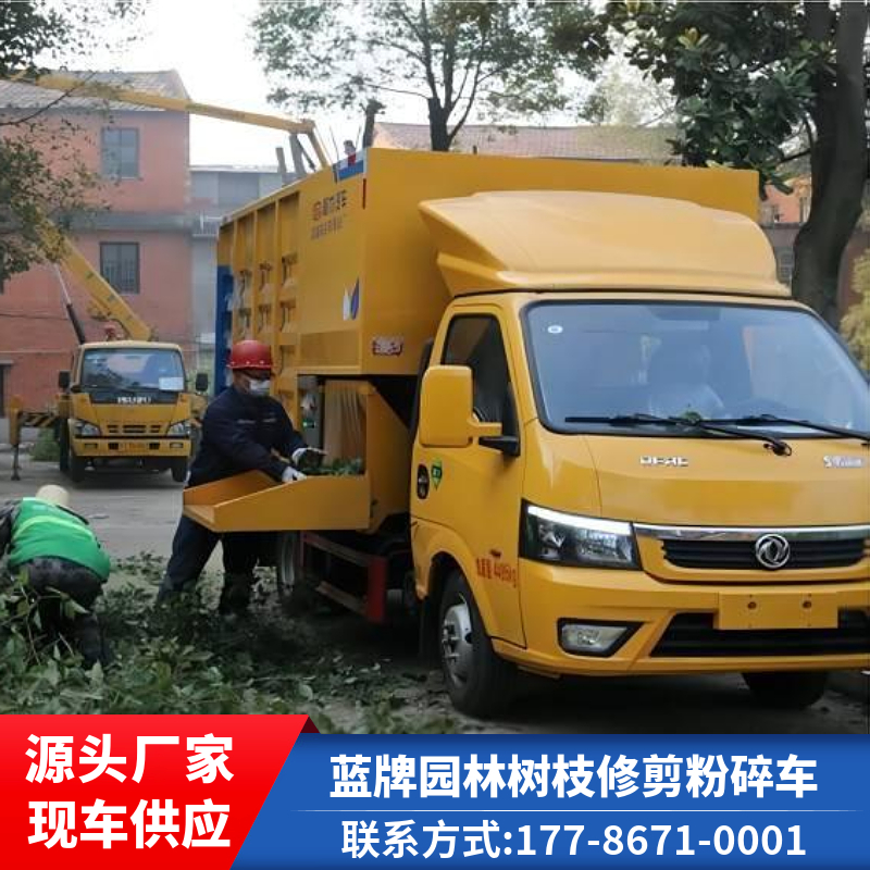 园林树枝物料粉碎车 蓝牌高空修剪车 国六柴油版