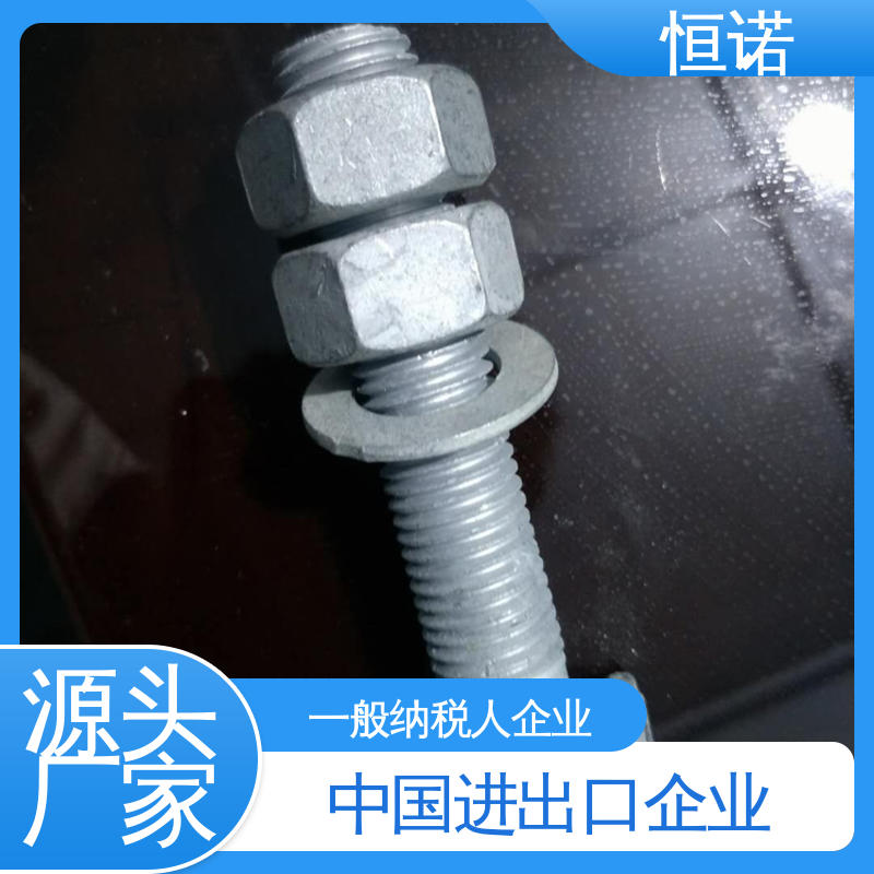恒诺 地铁哈芬槽用T型螺栓 厂家供应 订做异型件 抗拉耐腐蚀