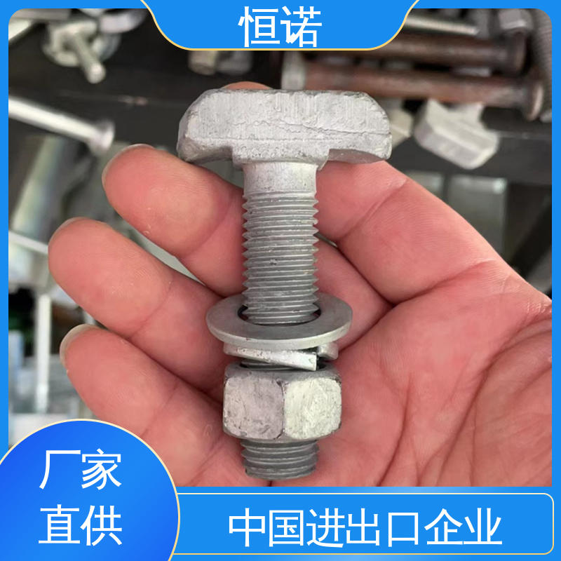 坚固耐用 厂家供应 高强度预埋槽T型螺栓 订做异型件 恒诺
