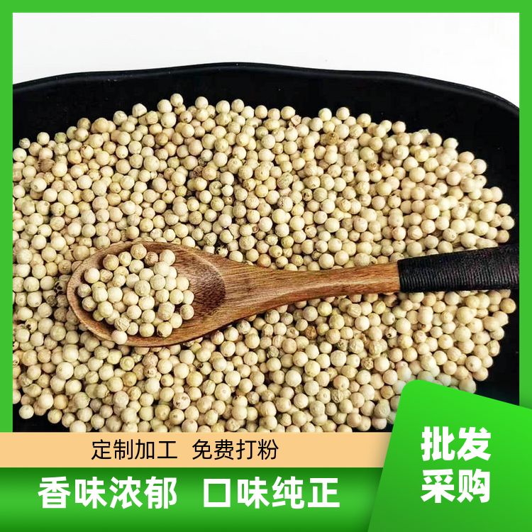 添香汇白胡椒500g有售荜拨长白芷片当季新货白胡椒粒干货 香味浓郁 
