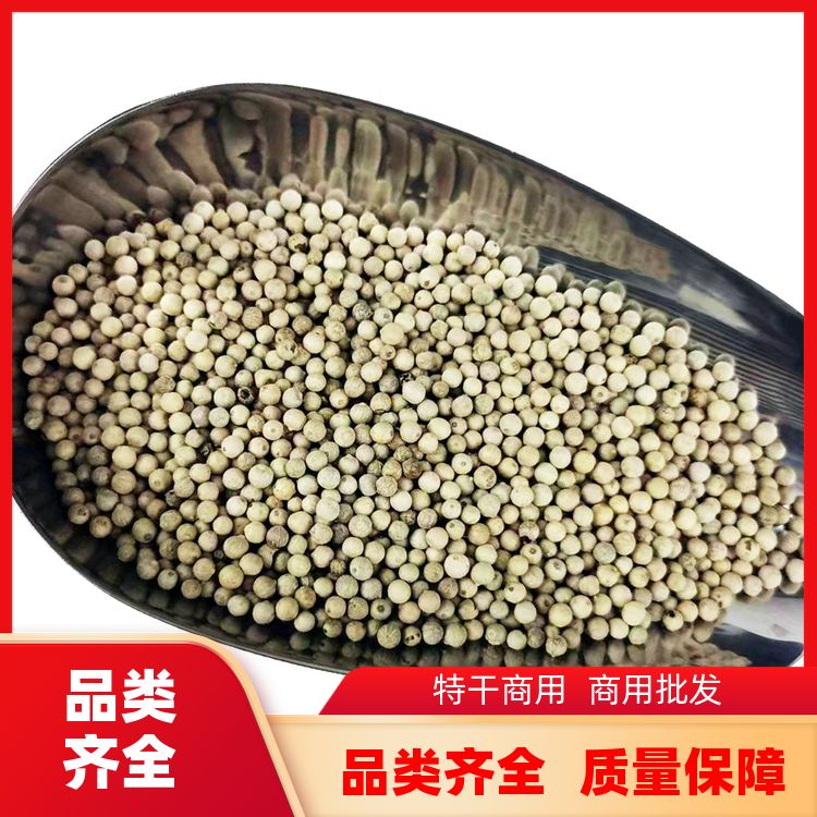 正宗白胡椒500g有售荜拨长白芷片组合套装白胡椒粒干货 口味纯正 