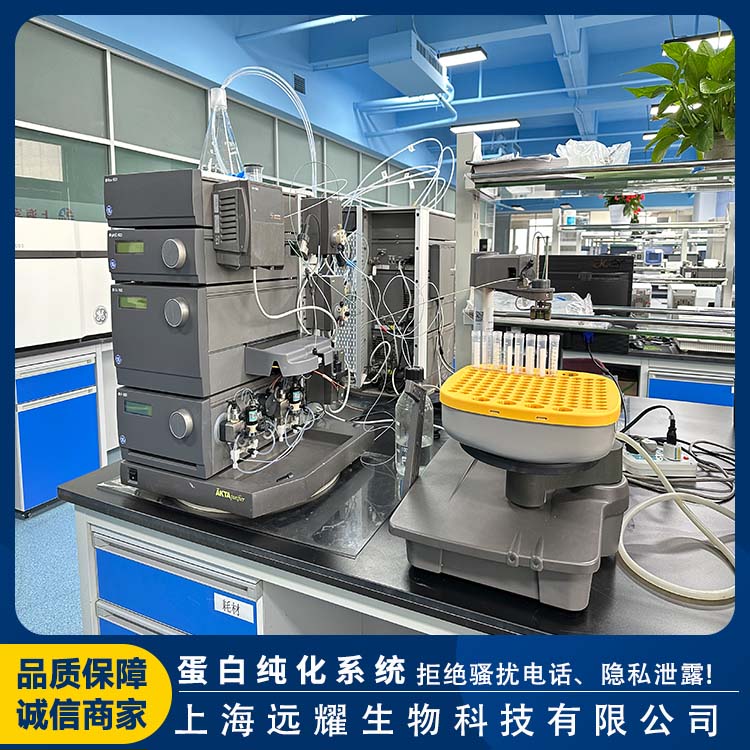 GE 二手AKTA purifier蛋白纯化仪 操作简便 结构紧凑 可兼顾分析与制备