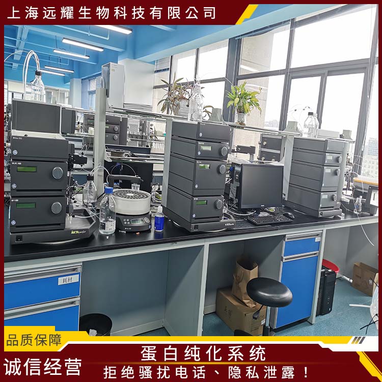 GE 蛋白纯化系统AKTA purifier 运行稳定 界面直观 高精度 脉动小