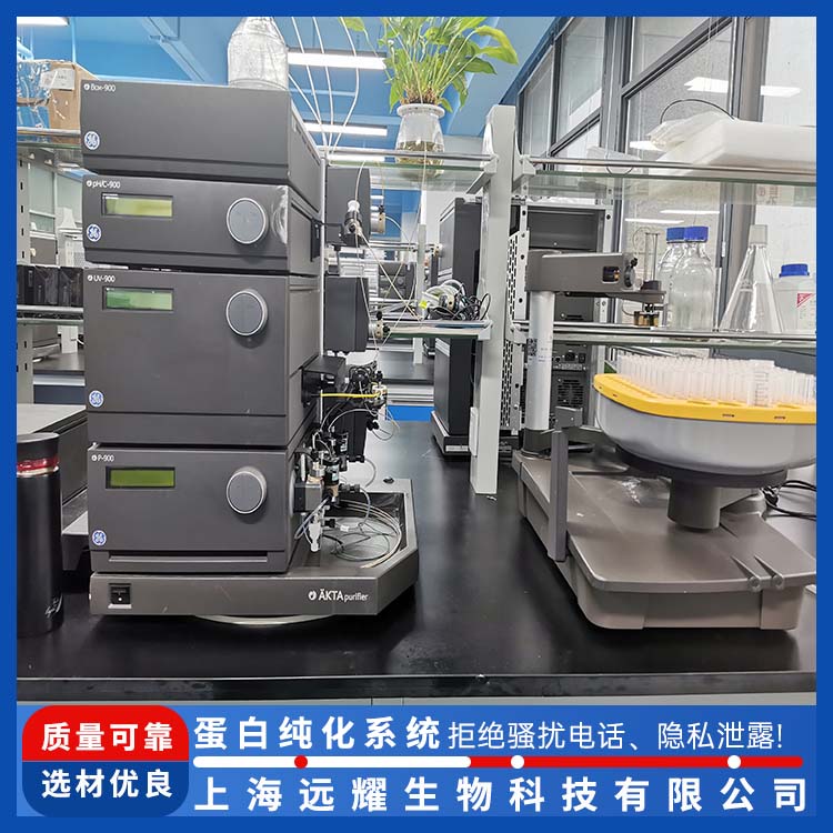 GE AKTA purifier蛋白纯化系统 高灵敏度 使用方便 耐腐蚀 抗氧化