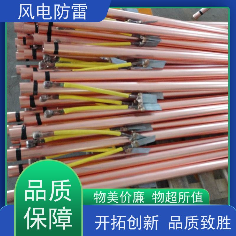 风电防雷 57*3000mm离子接地极 特殊非 金 属材料 规格齐全 可定制