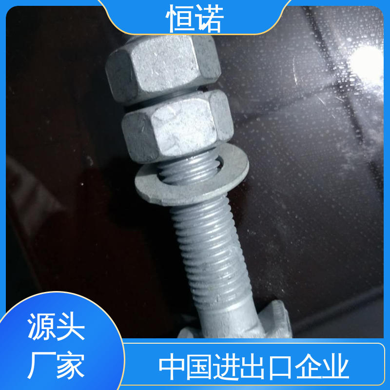 恒诺 批发零售 实体厂家 品质保证 地铁预埋槽道T型螺栓