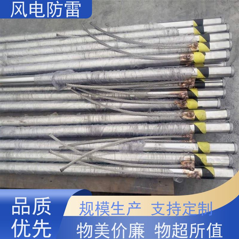 风电防雷 杆塔接地装置50*8000mm 性能稳定 使用安全 阻非 金 属材料