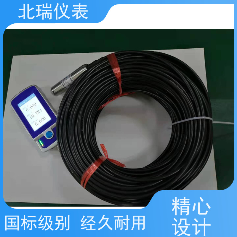 北瑞仪表 河道水温计 厂家供应 售后无忧 防水等级 IP68