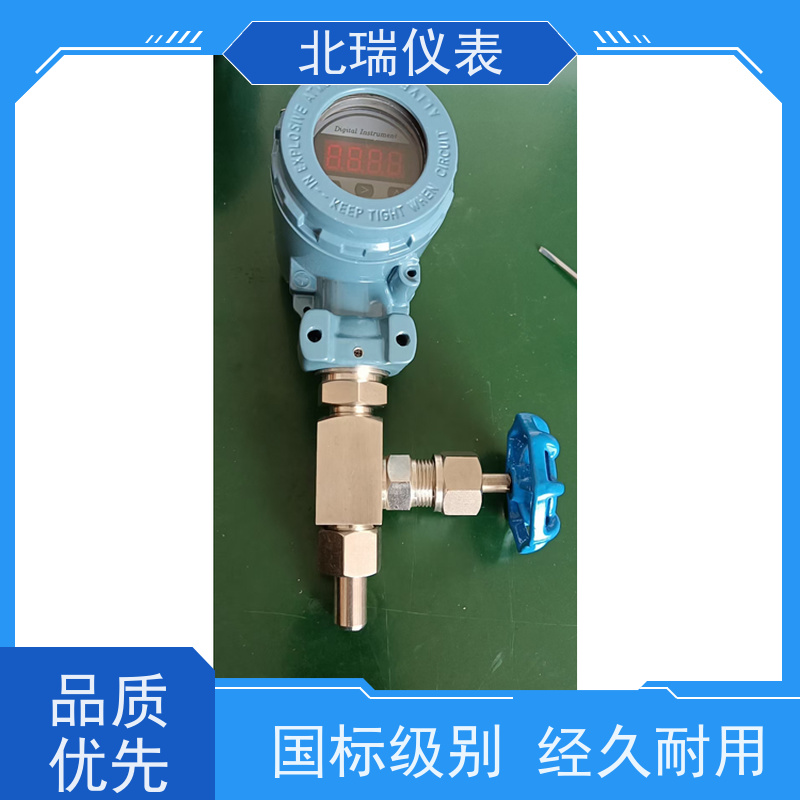 北瑞仪表 易燃易爆场合 防水抗干扰抗振抗冲击 厂家供应 售后无忧