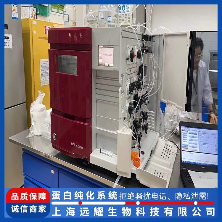 GE 蛋白纯化系统avant 运行稳定 界面直观 流速范围大
