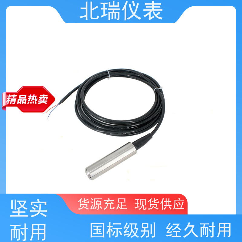 北瑞仪表 孔隙水压力计 体积小重量轻 安装维护方便 严选原材 品质放心