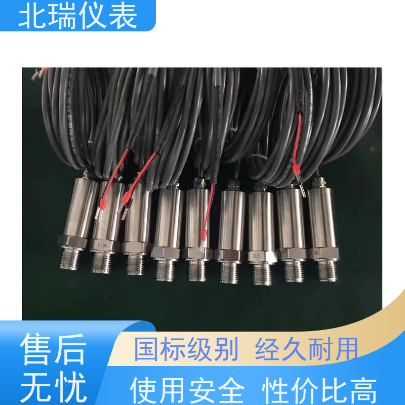 北瑞仪表 高精度带数显小巧型 物流配送 发货快