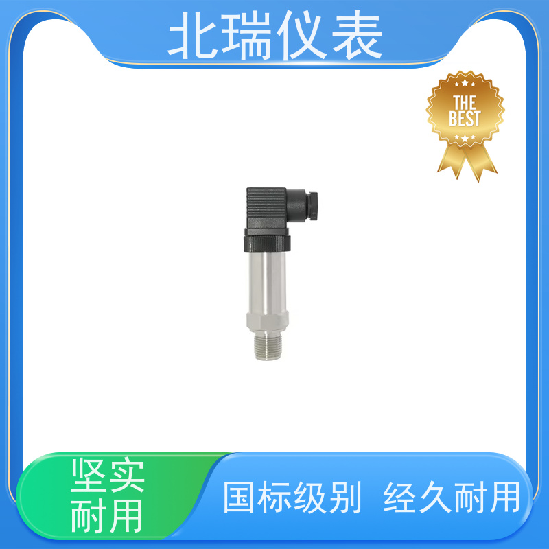 北瑞仪表 农村饮水压力计 高精度带数显小巧型 使用安全 性价比高
