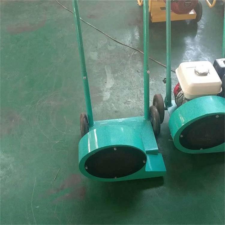 中拓大功率路面吹风清理机 路面清扫清洁专用吹风机 手推式小型