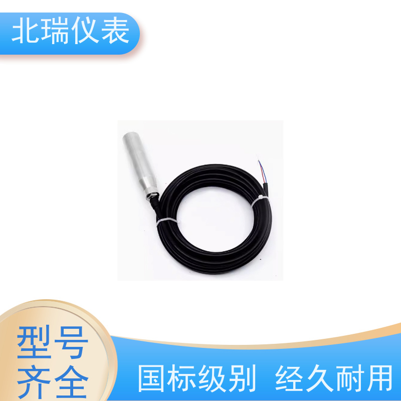 北瑞仪表 振弦式渗压计 性能稳定 便捷安全 物流配送 发货快