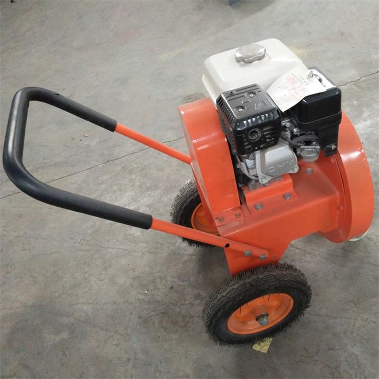 中拓路面吹风机 清理除尘机 手推式小型汽油机