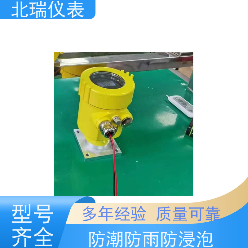 北瑞仪表 液位计罐旁显示仪 量程自定 精度高 厂家供应 售后无忧