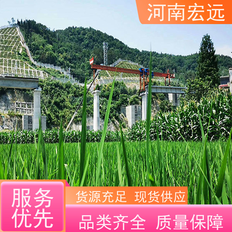 河南宏远 320-900吨节段拼架桥机 方便 通用性强