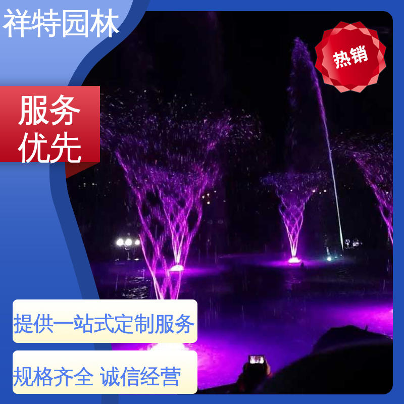 大桥一维音乐喷泉 广场公园水景 不易磨损 经久耐用 祥特园林