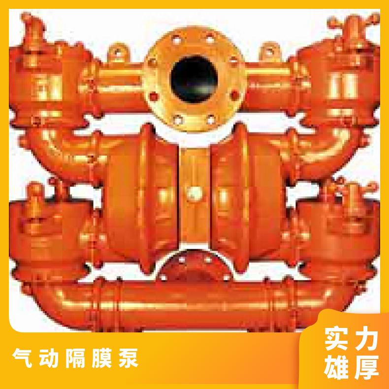 威尔顿隔膜泵官网 T2系列金属气动 品牌 Wilden