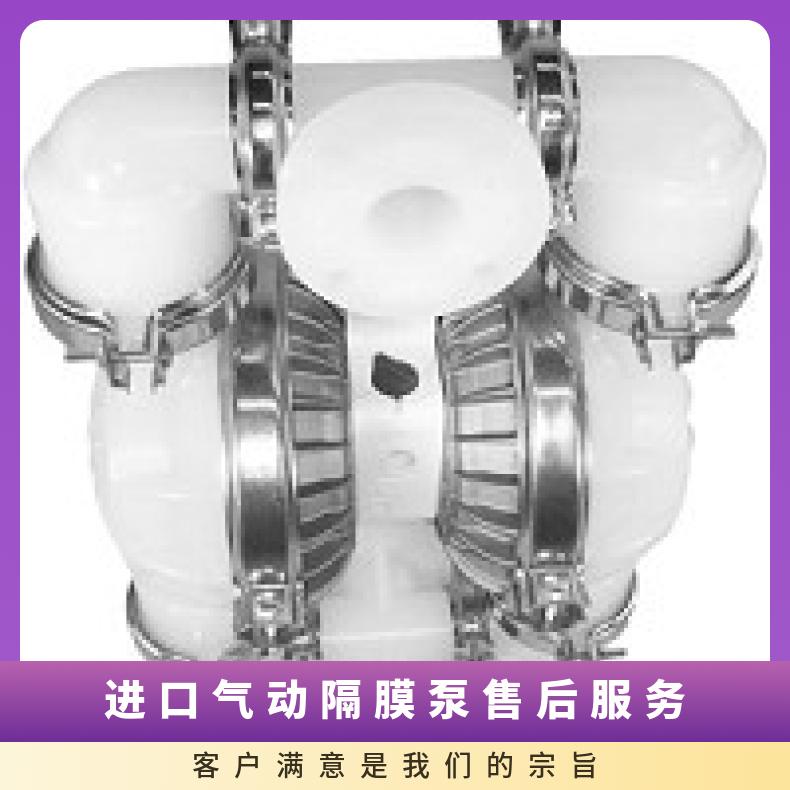 气动隔膜泵 进口服务 流量 1-10 是 Wilden威尔顿 塑料 美国