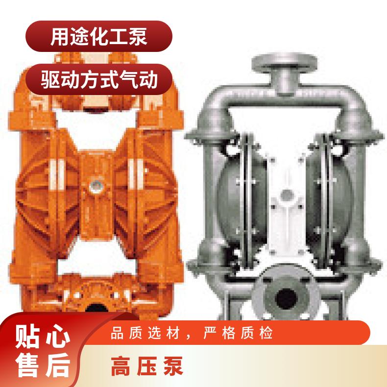威尔顿 H383200D高压泵 品牌 Wilden 美国 气动隔膜泵 塑料