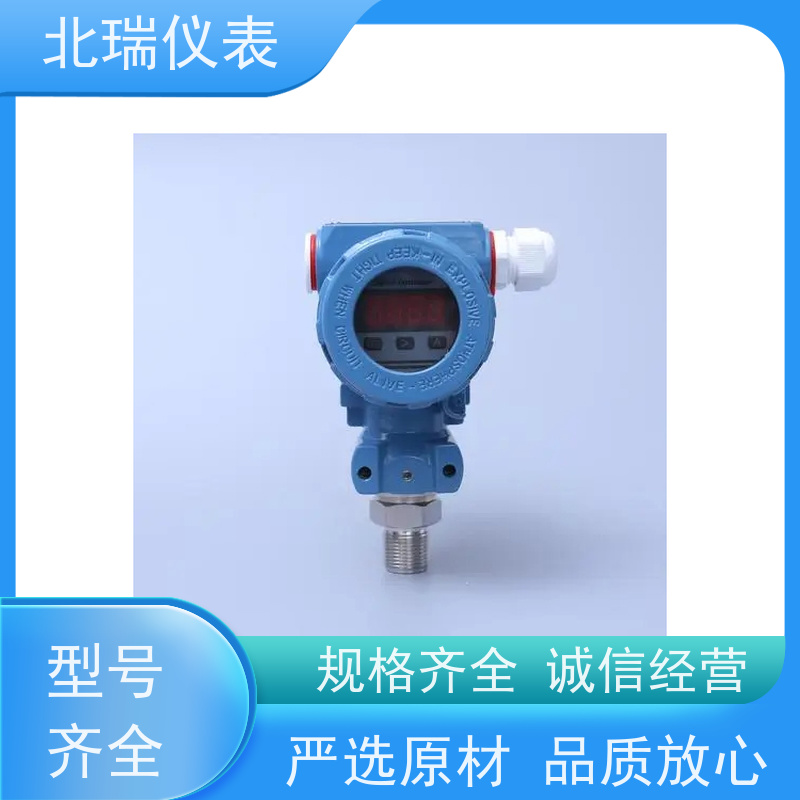 北瑞仪表 IP68防水压力变送器 高精度带数显小巧型 厂家供应 售后无忧
