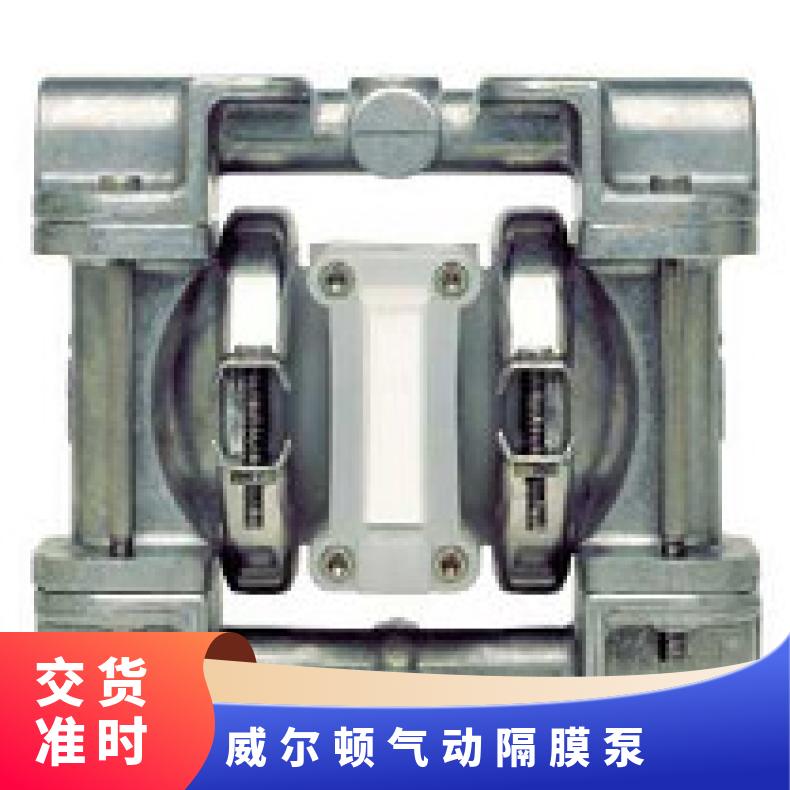 气动泵 金属隔膜泵P8 驱动方式 塑料 美国 是 Wilden威尔顿