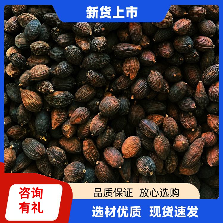 正宗干草果500g食用过筛精选去腥解腻香料大全草果仁籽皮 口味纯正 