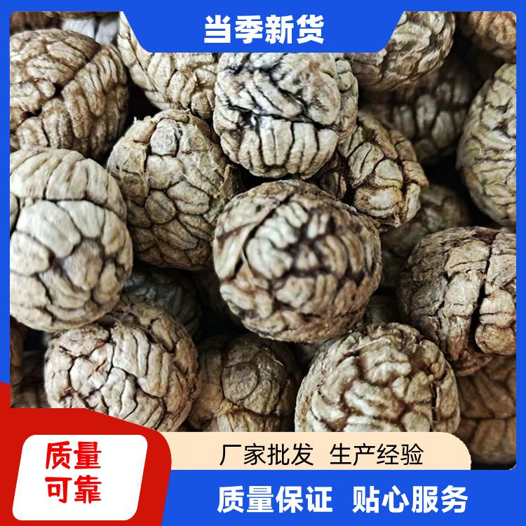 添香汇草豆蔻500g还有白蔻香茅草木香卤肉调料草蔻仁豆叩 商用批发 