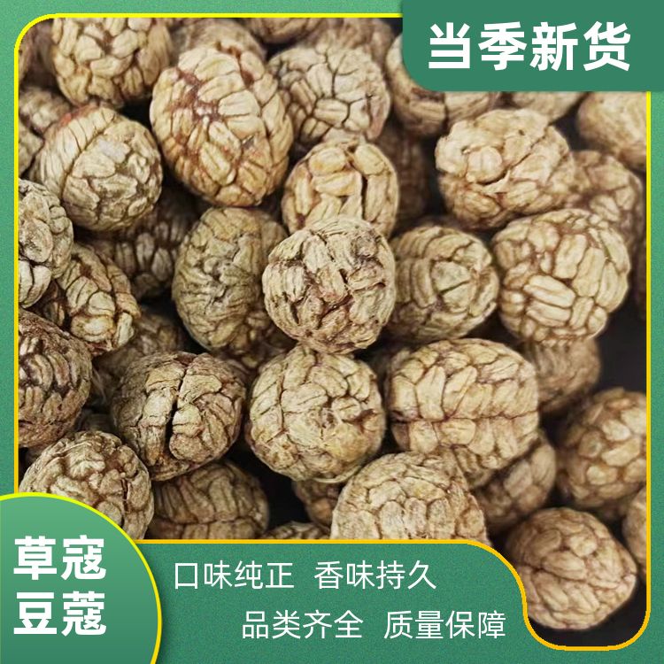 草寇老蔻豆蔻500g还有白蔻香茅草木香源头厂家草蔻仁豆叩 批发采购 