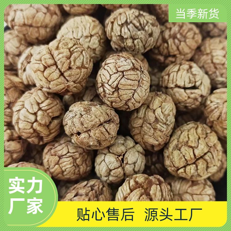 武汉明辉草寇500g还有白蔻香茅草木香卤肉调料草蔻仁豆叩 批发采购 