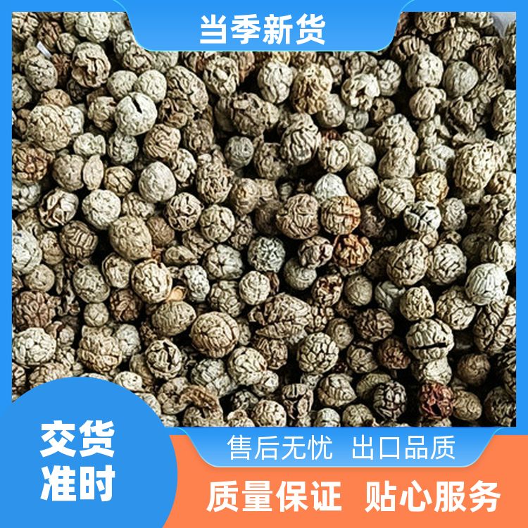 草寇老蔻500g食用过筛精选去腥解腻香料大全草蔻仁豆叩仁 香味浓郁 