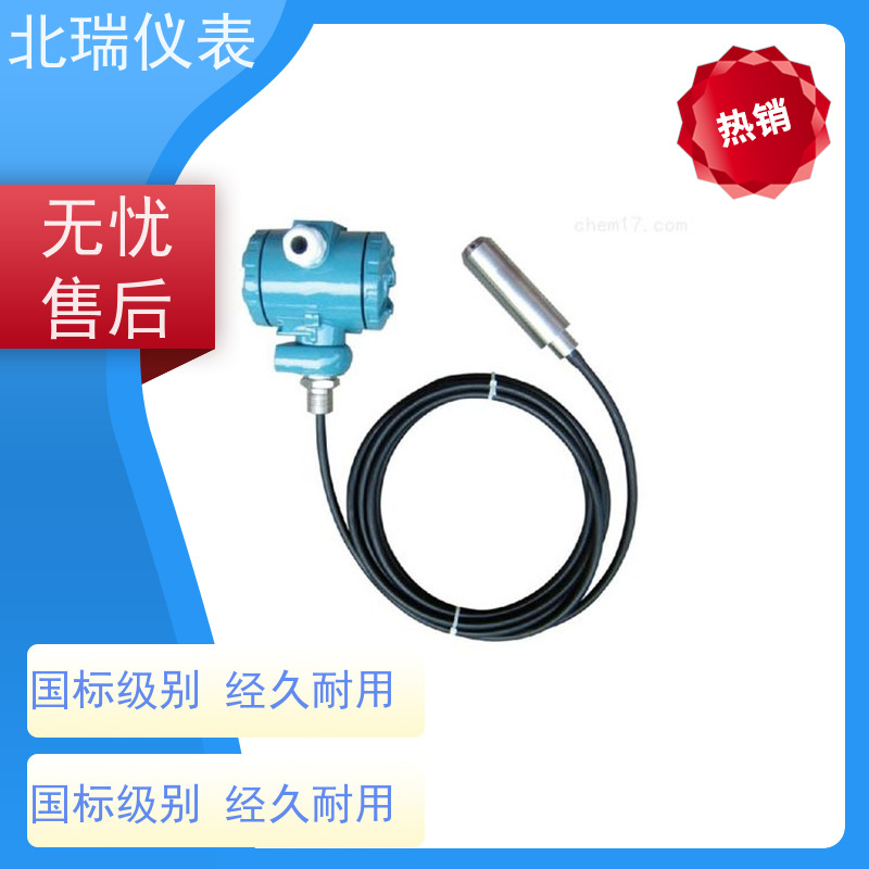 北瑞仪表 水库水温计 厂家供应 售后无忧 多领域可用 精度高