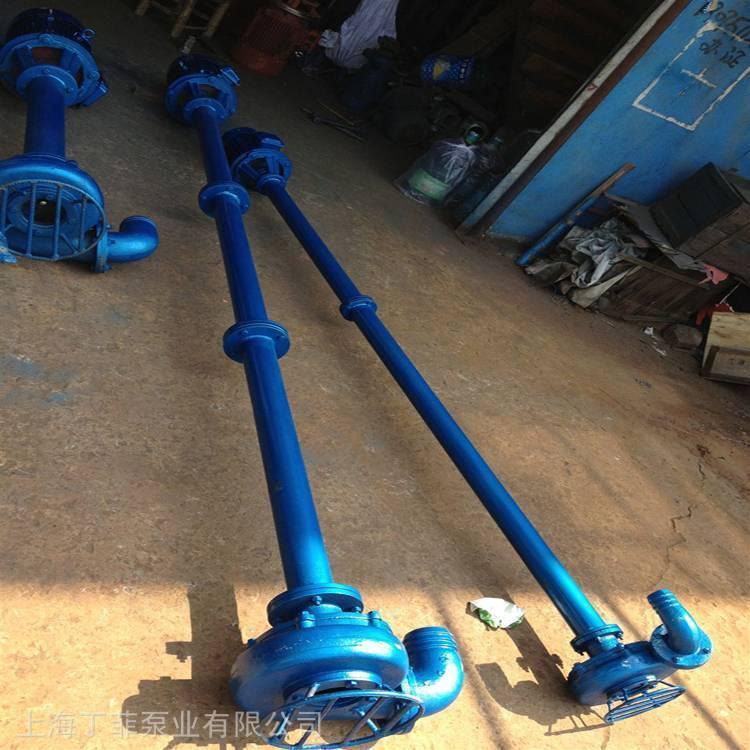 250YW600-9-30 双轮液下泵结构图
