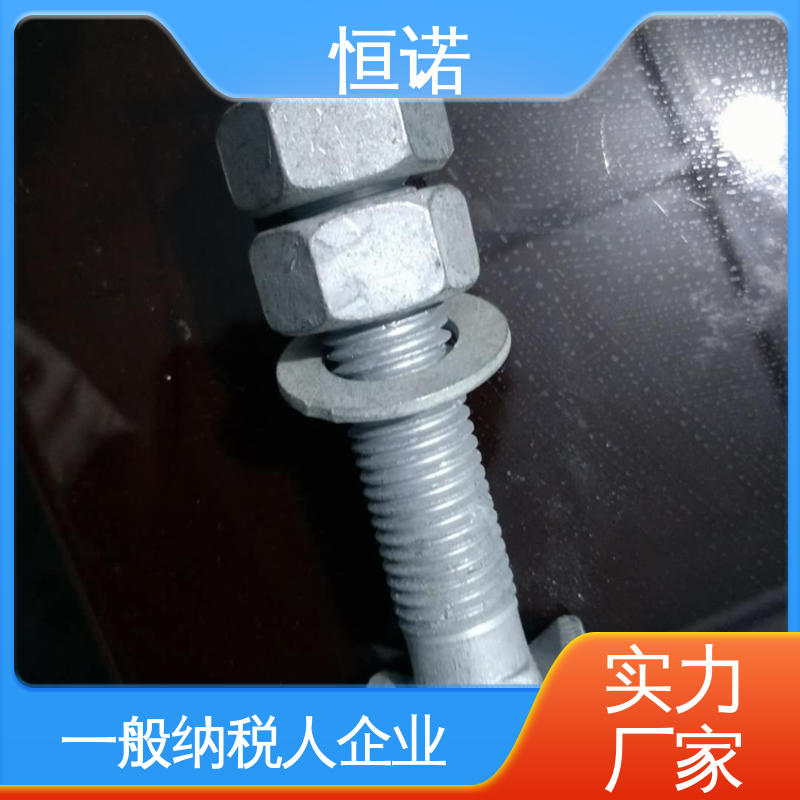 发货及时 来图定做 管廊托臂T型螺栓 品质保证 恒诺