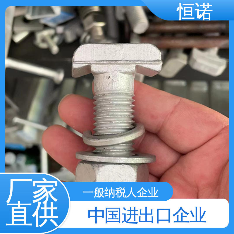 恒诺 高强度T型螺栓 厂家供应 防腐金属制品 订做异型件