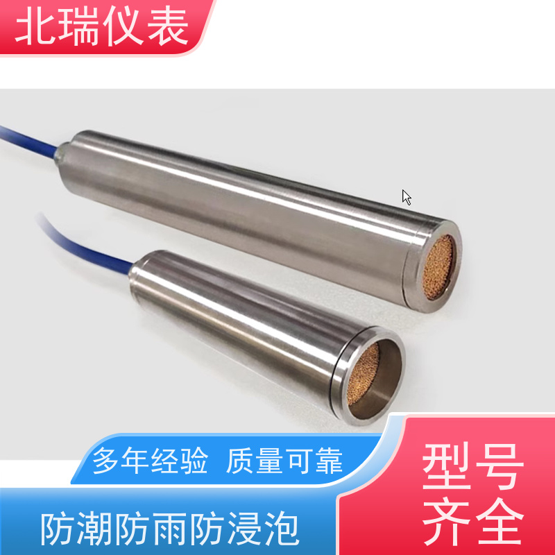 北瑞仪表 振弦式渗压计 多领域可用 精度高 厂家供应 售后无忧