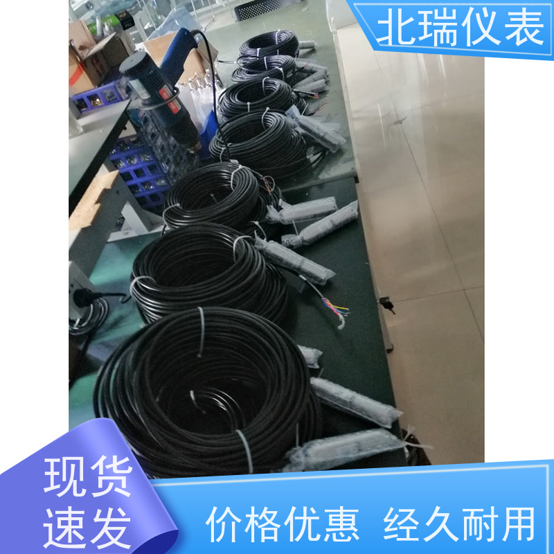 北瑞仪表 水池水温计 多规格可选 库存充足 多领域可用 精度高