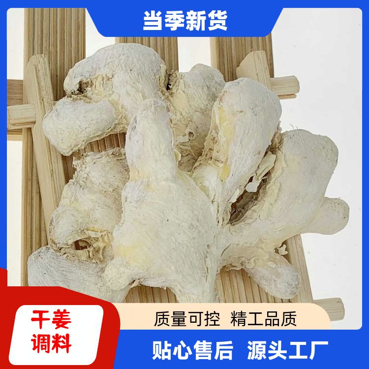正宗干姜老姜500g还有木香八角白豆蔻调料大全干生姜白姜 厂商销售 