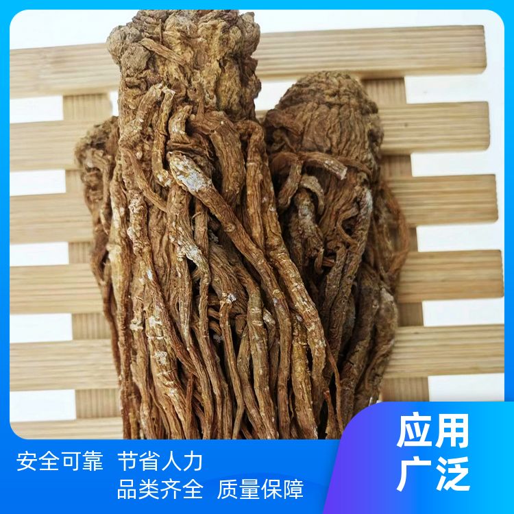 正宗当归切片500g拌卤油热卤汤温汤源头厂家当归个可切片 厂商销售 