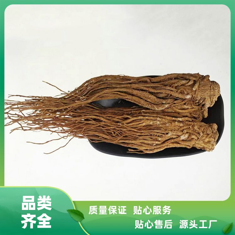 正宗当归切片500g清理干净老汤状态组合套装当归个可切片 厂商销售 