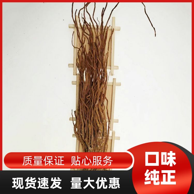 添香汇当归500g另红栀子丁香砂仁香料大全当归个可切片粉 香味浓郁 