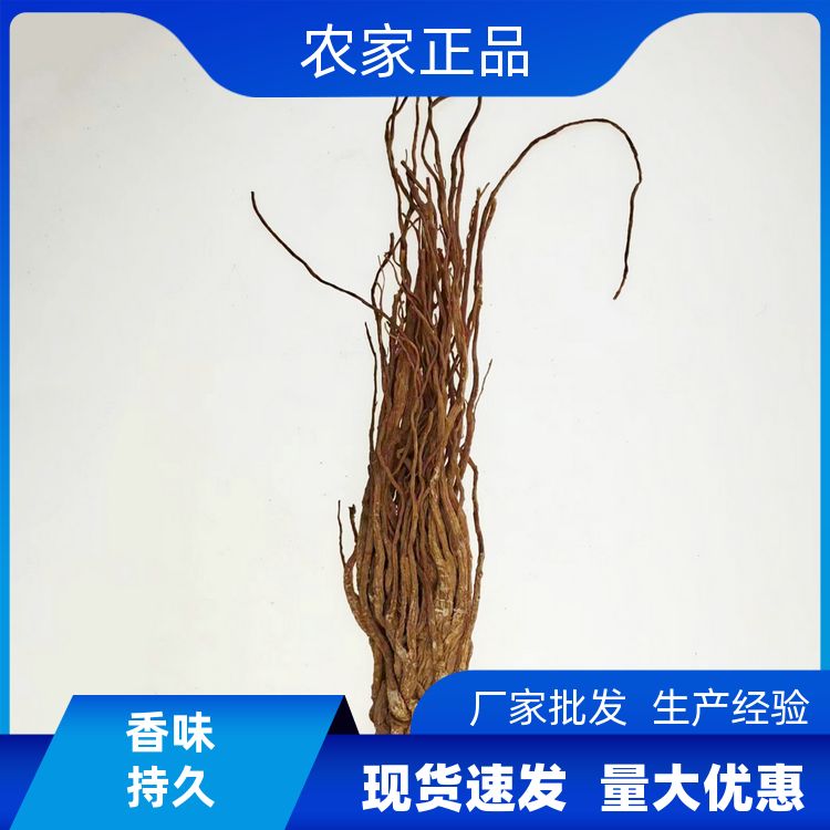 正宗当归切片500g另四川绿麻椒花椒源头厂家当归个可切片 批发采购 