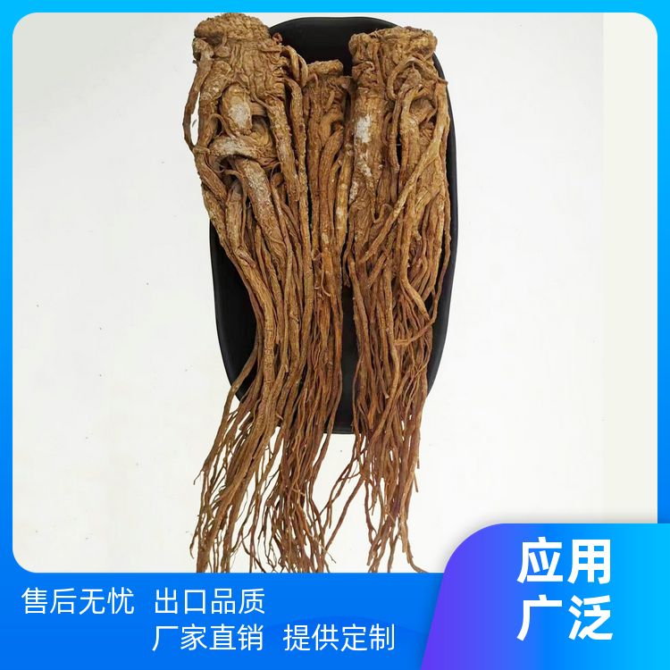 武汉明辉当归500g老汤清理过滤保养无硫新货当归个可切片 味香天然 
