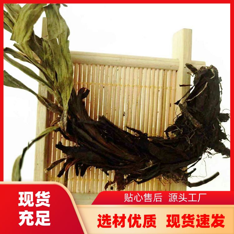 正宗甘松500g大料过筛精选去腥解腻源头厂家甘松干香松草 特干泡茶 