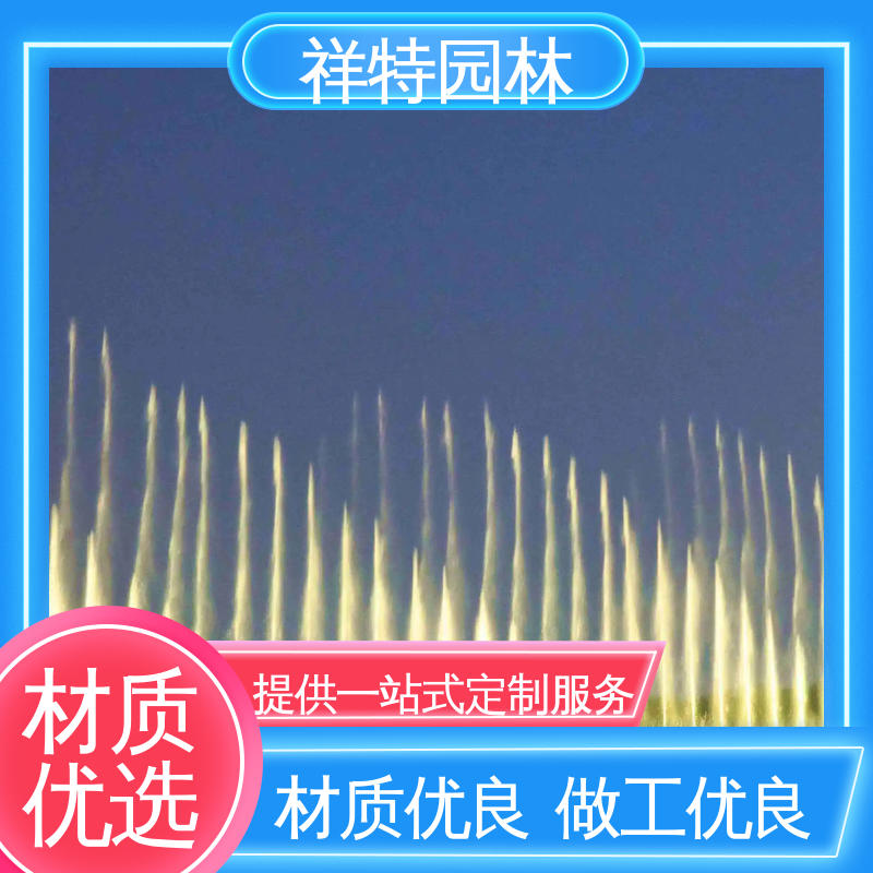 祥特 广场公园水景 园林喷泉 维护方便 球形喷嘴
