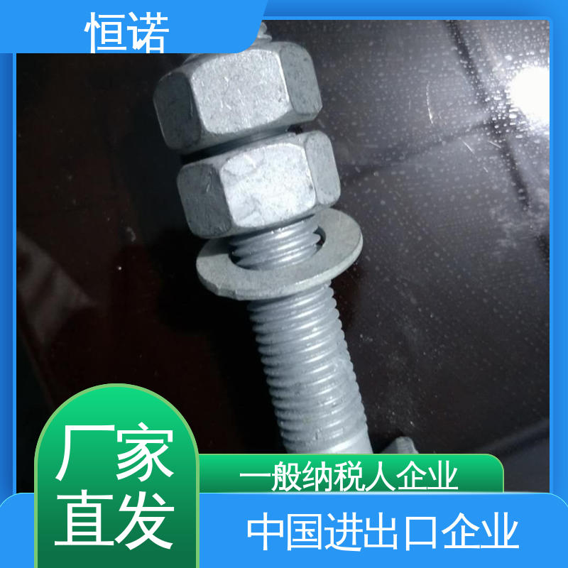 恒诺 大量现货 发货及时 哈芬槽道不锈钢T型螺栓 图纸定做