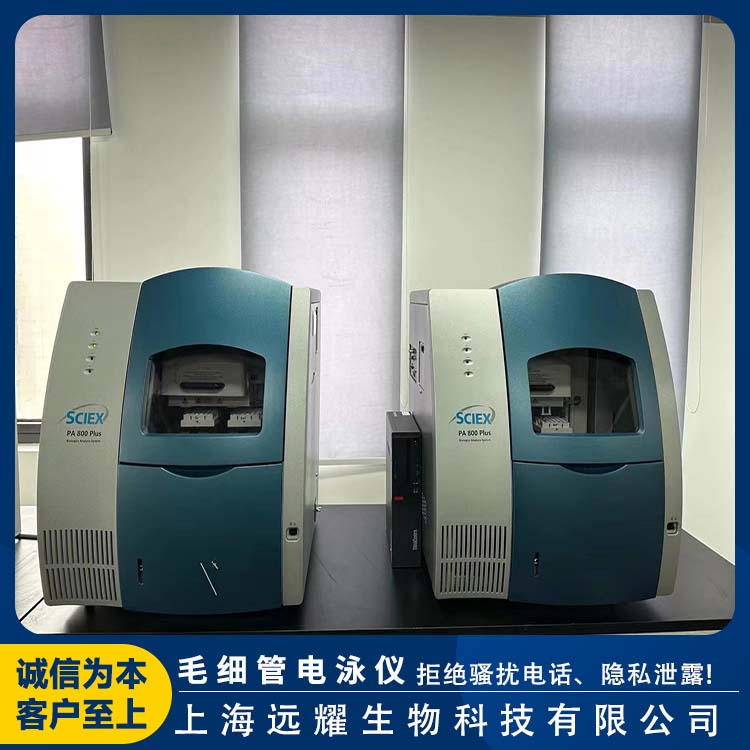 BECKMAN 二手毛细管电泳仪PA800 plus 操作简便 结构紧凑 应用范围广